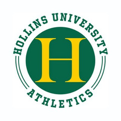 Hollins logo