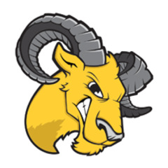 Delaware Valley logo